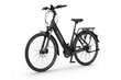 Elektrinis dviratis Ecobike LX 19" 11,6 Ah Greenway, juodas цена и информация | Elektriniai dviračiai | pigu.lt