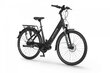 Elektrinis dviratis Ecobike LX 19" 11,6 Ah Greenway, juodas цена и информация | Elektriniai dviračiai | pigu.lt