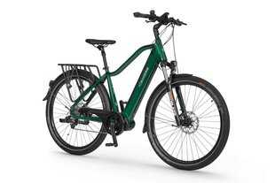 Elektrinis dviratis Ecobike MX 300 14 Ah LG, žalias kaina ir informacija | Elektriniai dviračiai | pigu.lt