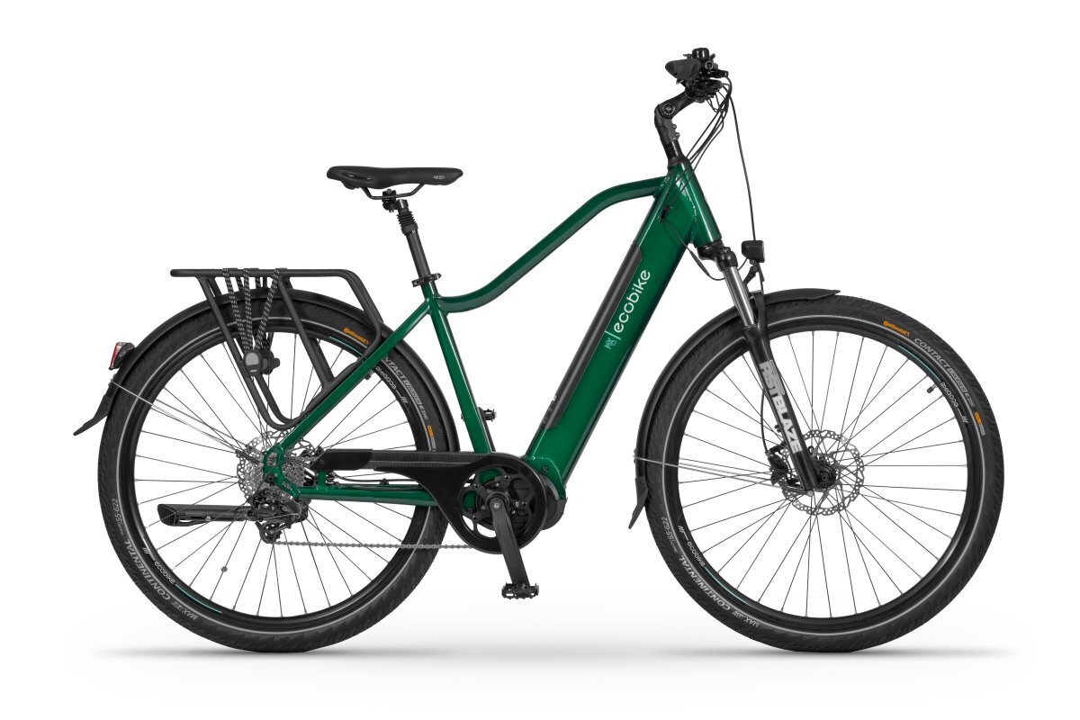 Elektrinis dviratis Ecobike MX 300 14 Ah LG, žalias цена и информация | Elektriniai dviračiai | pigu.lt