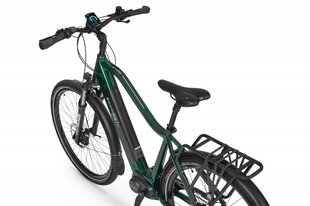 Elektrinis dviratis Ecobike MX 300 14 Ah LG, žalias kaina ir informacija | Elektriniai dviračiai | pigu.lt