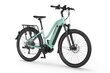 Elektrinis dviratis Ecobike LX 500 14,5 Ah Greenway, žalias kaina ir informacija | Elektriniai dviračiai | pigu.lt