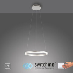 Just Light pakabinamas šviestuvas Ritus цена и информация | Подвесной светильник | pigu.lt