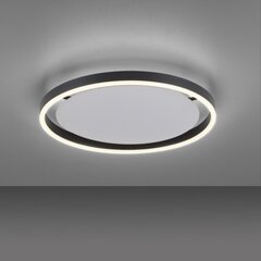 Just Light lubinis šviestuvas Ritus kaina ir informacija | Lubiniai šviestuvai | pigu.lt