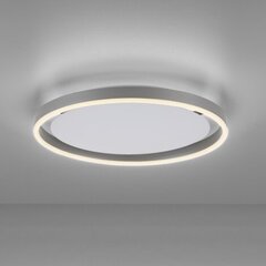 Just Light lubinis šviestuvas Ritus цена и информация | Потолочные светильники | pigu.lt