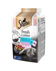 Sheba Fresh Cuisine Taste of Tokyo для взрослых кошек с тунцом и рисом, с лососем и рисом, 12x(6x50г) цена и информация | Консервы для кошек | pigu.lt