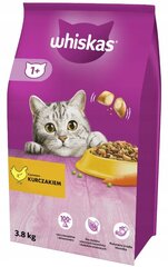 Whiskas su vištiena, 3x3,8 kg kaina ir informacija | Sausas maistas katėms | pigu.lt