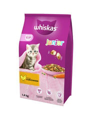 Whiskas для молодых кошек с курицей, 6х1,4 кг цена и информация | Сухой корм для кошек | pigu.lt