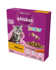 Whiskas jaunoms katėms su vištiena, 5x800 g kaina ir informacija | Sausas maistas katėms | pigu.lt