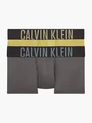 Calvin Klein trumpikės vyrams 545663065, 2 vnt. kaina ir informacija | Calvin Klein Apatinis trikotažas vyrams | pigu.lt