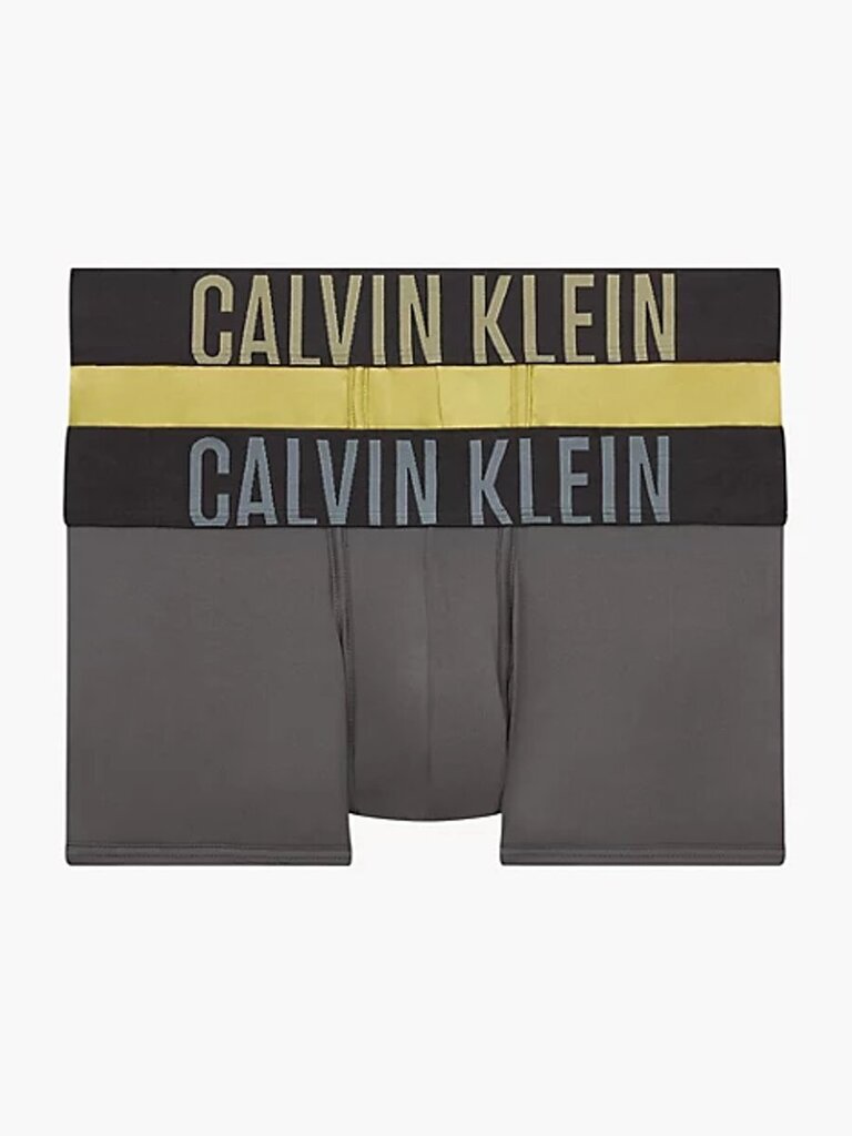 Calvin Klein trumpikės vyrams 545663065, 2 vnt. цена и информация | Trumpikės | pigu.lt