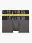 Calvin Klein trumpikės vyrams 545663065, 2 vnt. цена и информация | Trumpikės | pigu.lt