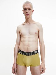 Calvin Klein trumpikės vyrams 545663065, 2 vnt. kaina ir informacija | Calvin Klein Apatinis trikotažas vyrams | pigu.lt