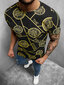 Marškinėliai vyrams BL225150258 kaina ir informacija | Vyriški marškinėliai | pigu.lt