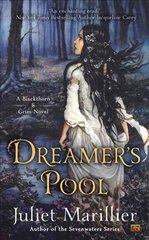 Dreamer's pool kaina ir informacija | Fantastinės, mistinės knygos | pigu.lt