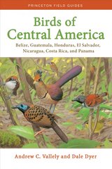 Birds of Central America: Belize, Guatemala, Honduras, El Salvador, Nicaragua, Costa Rica, and Panama kaina ir informacija | Enciklopedijos ir žinynai | pigu.lt