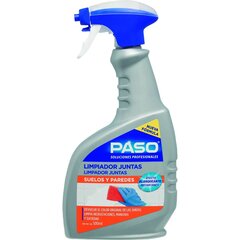 Очиститель Paso 500 ml цена и информация | Очистители | pigu.lt