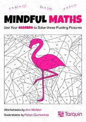 Mindful Maths 3: Use Your Statistics to Solve these Puzzling Pictures цена и информация | Книги для подростков  | pigu.lt