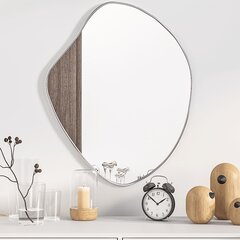 Sieninis veidrodis, 60x50cm, sidabrinė spalva kaina ir informacija | Veidrodžiai | pigu.lt
