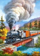 Dėlionė su traukiniu Castorland, 200 d. kaina ir informacija | Dėlionės (puzzle) | pigu.lt