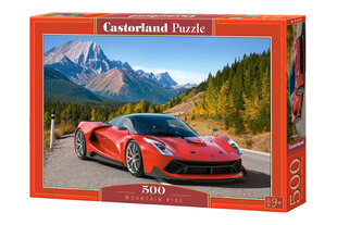 Dėlionė su automobiliu Castorland, 500 d. kaina ir informacija | Dėlionės (puzzle) | pigu.lt