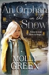 Orphan in the Snow: The Heart-Warming Saga You Need to Read This Year ePub edition цена и информация | Fantastinės, mistinės knygos | pigu.lt