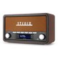 Audizio Foggia Retro DAB Radio Copper kaina ir informacija | Radijo imtuvai ir žadintuvai | pigu.lt