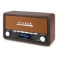 Audizio Foggia Retro DAB Radio Copper kaina ir informacija | Radijo imtuvai ir žadintuvai | pigu.lt