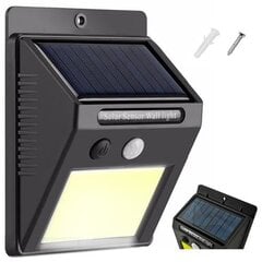 Уличный фонарь с солнечной батареей и датчиком движения цена и информация | Уличные светильники | pigu.lt