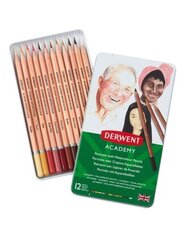 Акварельные карандаши для портретов Derwent Academy, 12 шт. цена и информация | Принадлежности для рисования, лепки | pigu.lt