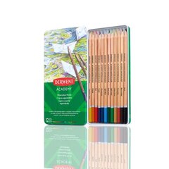 Akvarelinių pieštukų rinkinys Derwent Academy, 12 vnt kaina ir informacija | Piešimo, tapybos, lipdymo reikmenys | pigu.lt