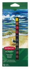 Akvareliniai dažai Derwent Academy, 12 vnt kaina ir informacija | Piešimo, tapybos, lipdymo reikmenys | pigu.lt