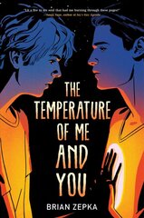 Temperature Of Me And You цена и информация | Книги для подростков и молодежи | pigu.lt