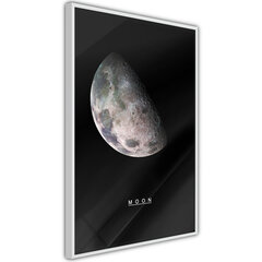 Plakatas The Solar System: Moon, Baltas rėmelis, 30x45 kaina ir informacija | Reprodukcijos, paveikslai | pigu.lt