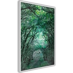 Plakatas Tree Tunnel, Baltas rėmelis, 20x30 цена и информация | Репродукции, картины | pigu.lt