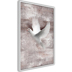 Plakatas White Dreams, Baltas rėmelis, 30x45 kaina ir informacija | Reprodukcijos, paveikslai | pigu.lt
