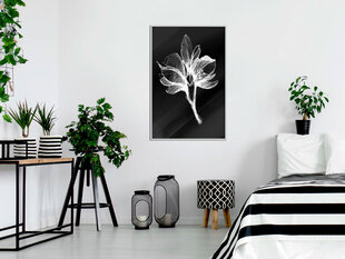 Plakatas White Plant, Baltas rėmelis, 20x30 цена и информация | Репродукции, картины | pigu.lt