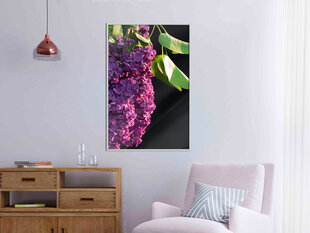 Plakatas Violet May, Baltas rėmelis, 30x45 цена и информация | Репродукции, картины | pigu.lt