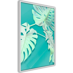 Plakatas Teal Monstera, Baltas rėmelis, 30x45 цена и информация | Репродукции, картины | pigu.lt