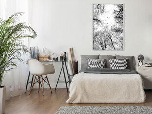 Plakatas Treetops, Baltas rėmelis, 30x45 цена и информация | Репродукции, картины | pigu.lt