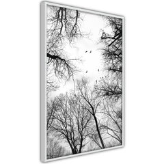 Plakatas Treetops, Baltas rėmelis, 30x45 цена и информация | Репродукции, картины | pigu.lt