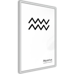 Plakatas Zodiac: Aquarius, Baltas rėmelis, 30x45 цена и информация | Репродукции, картины | pigu.lt