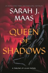 Queen of Shadows цена и информация | Фантастика, фэнтези | pigu.lt