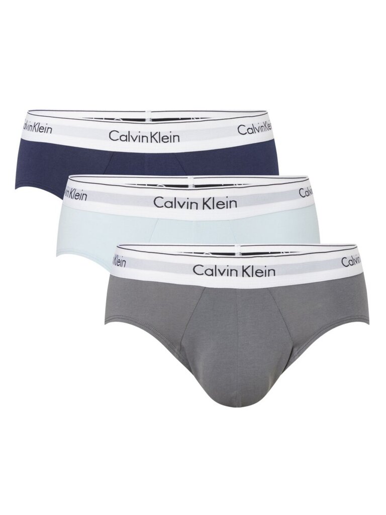 Calvin Klein trumpikės vyrams 545662935, 3 vnt. цена и информация | Trumpikės | pigu.lt