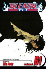 Bleach (3-in-1 Edition), Vol. 6: Includes vols. 16, 17 & 18 6th, Vols. 16, 17 & 18, 3-in-1 Edition цена и информация | Fantastinės, mistinės knygos | pigu.lt