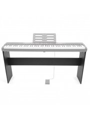 Стойка для пианино Divarte DP 35 DIVDP35STAND цена и информация | Принадлежности для музыкальных инструментов | pigu.lt