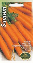 Морковь Нантская 5 САМСОН. Семена моркови цена и информация | Семена овощей, ягод | pigu.lt