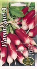Редис Flamboyant 3 цена и информация | Семена овощей, ягод | pigu.lt