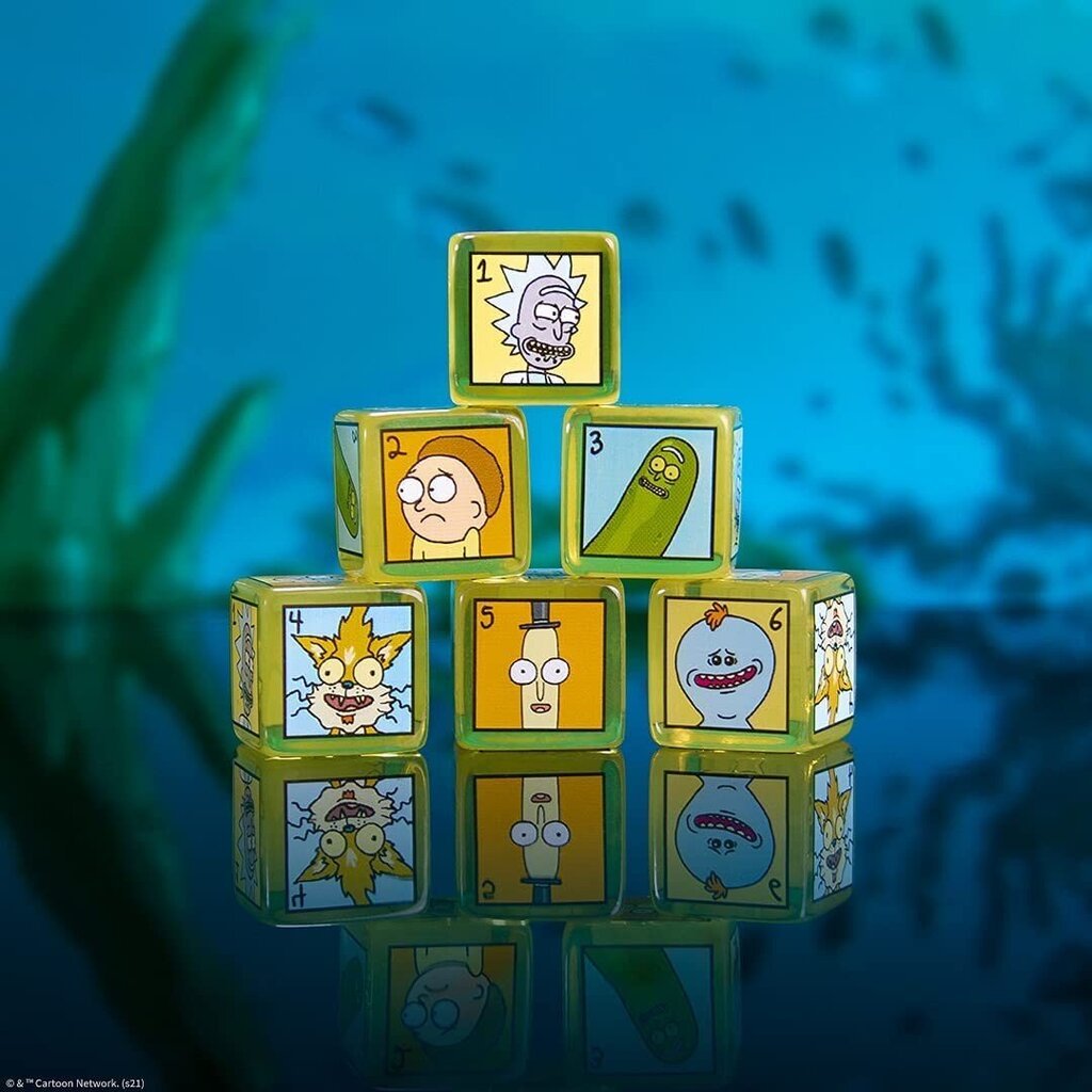 Stalo žaidimas Rick and Morty Dice Set kaina ir informacija | Stalo žaidimai, galvosūkiai | pigu.lt