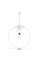 Подвесной светильник Erda Maytoni Outdoor O594PL-01B цена и информация | Потолочные светильники | pigu.lt